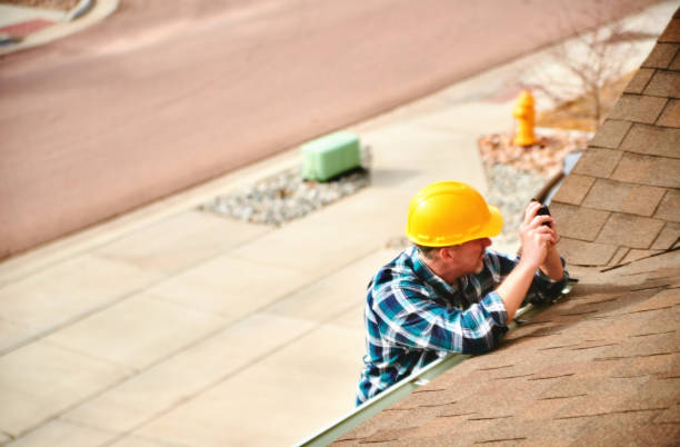 Best Roof Moss and Algae Removal  in Fort Rucker, AL